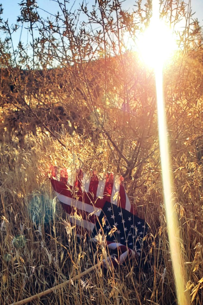 a battered American flag rests in tall dry grasses at the foot of a bush, as bright sun rays shine through the branches above it
